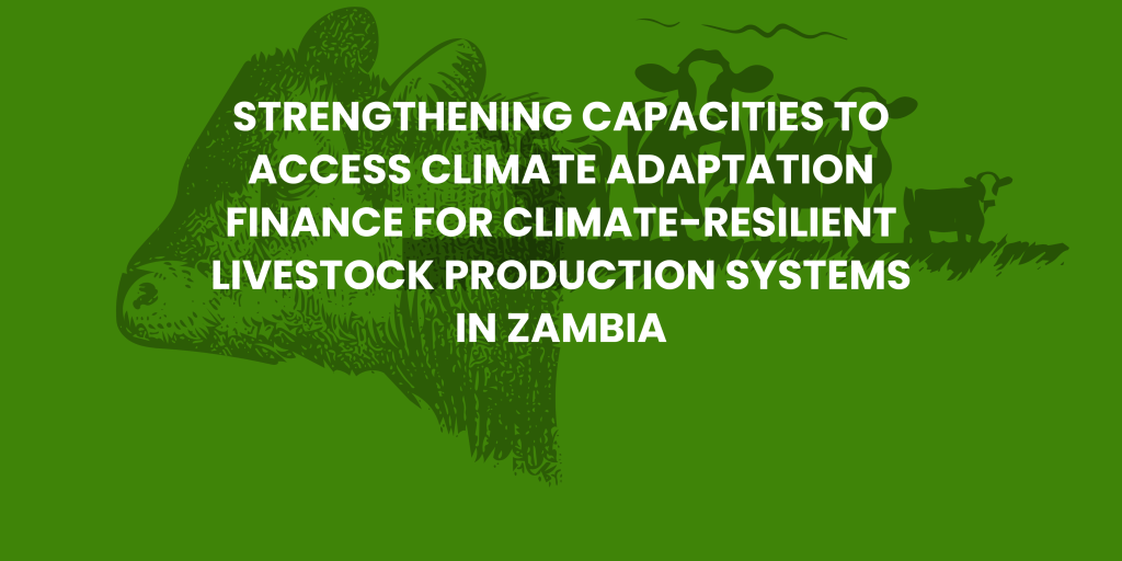Strengthening Capacities to Access Climate Adaptation Finance for Climate-Resilient Livestock Production Systems in Zambia