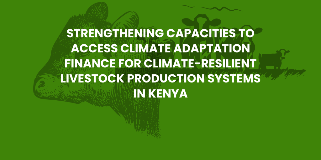 Strengthening Capacities to Access Climate Adaptation Finance for Climate-Resilient Livestock Production Systems in Kenya