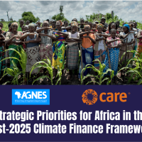 Policy Brief: Strategic Priorities for Africa in the Post-2025 Climate Finance Framework