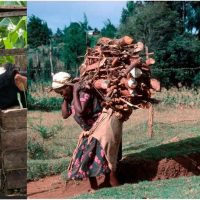 Gender and Climate Change Hotspot Mapping in Agriculture, Water, and Energy Sector for Decision Support in Kenya