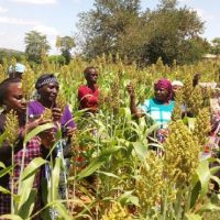 Policy Brief No. 3 Enhancing
Food Security
in a Changing
Climate in
Africa